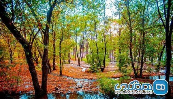 معرفی تعدادی از زیباترین پارک های جنگلی ایران