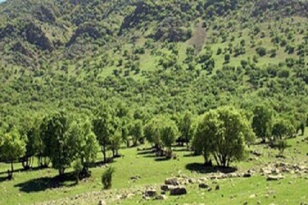 تکه ای از زاگرس در دل تویسرکان تکه ای از زاگرس در دل تویسرکان