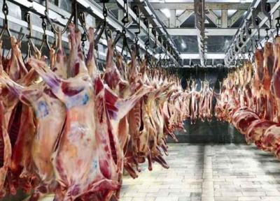 دلایل افزایش قیمت گوشت از دوربین هزینه فراوری