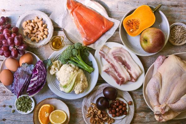 غذا های مجاز و ممنوعه در رژیم پالئو یا رژیم غارنشینی را بشناسید!