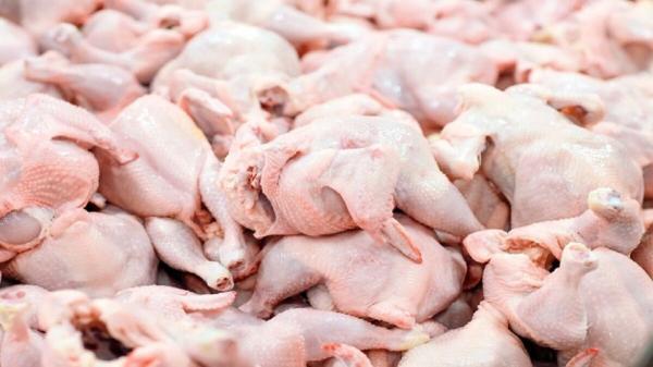قیمت هر کیلو مرغ به 84 هزار تومان رسید، رئیس اتحادیه: کیلویی 63 هزار تومان است، فروش بالاتر تخلف است