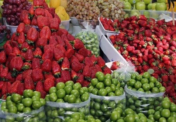 رئیس اتحادیه میوه و تره بار شهرکرد: گوجه سبز و چاقاله بادام 160 هزار تومان به فروش می رسد