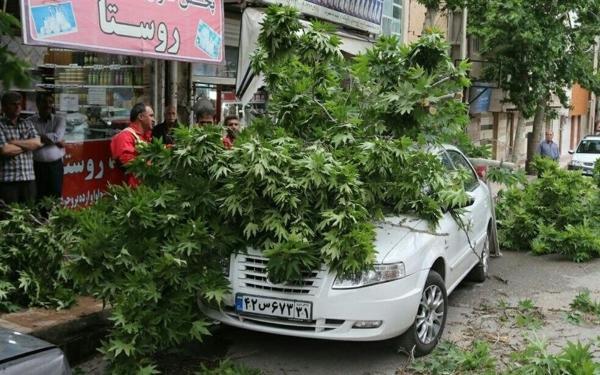 هشدار به تهرانی ها؛ تندباد در راه مرکز