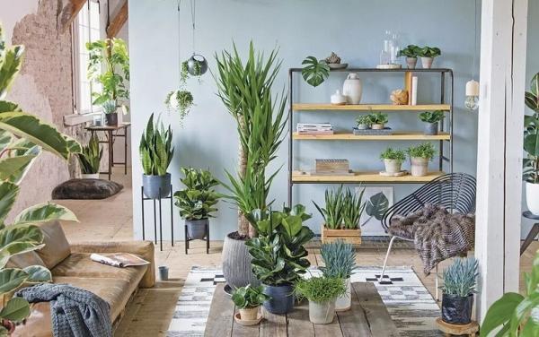 خلاقانه ترین ایده های چیدمان گیاهان آپارتمانی